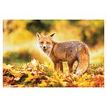 Ścienny kalendarz 2026 - Myslivecky