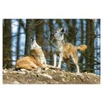 Ścienny kalendarz 2026 - Myslivecky