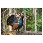 Ścienny kalendarz 2026 - Myslivecky