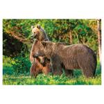 Ścienny kalendarz 2026 - Myslivecky