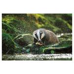 Ścienny kalendarz 2026 - Myslivecky