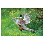 Ścienny kalendarz 2026 - Myslivecky