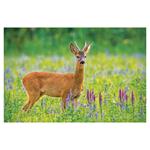 Ścienny kalendarz 2026 - Myslivecky