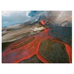 Ścienny kalendarz 2026 - Natura