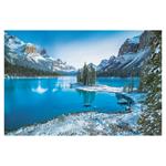 Ścienny kalendarz 2026 - Natura