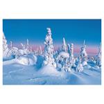 Ścienny kalendarz 2026 - Natura