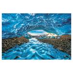 Ścienny kalendarz 2026 - Natura