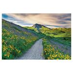 Ścienny kalendarz 2026 - Natura