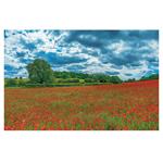 Ścienny kalendarz 2026 - Natura