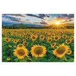 Ścienny kalendarz 2026 - Natura