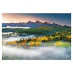 Ścienny kalendarz 2026 - Natura