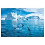 Ścienny kalendarz 2026 - Świat w obrazach