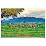 Ścienny kalendarz 2026 - Świat w obrazach