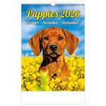 Ścienny Kalendarz 2026 - Szczenięta
