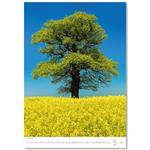 Ścienny Kalendarz 2026 - Trees