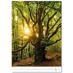 Ścienny Kalendarz 2026 - Trees