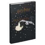 Teczka na zeszyty A4 Herb Harry'ego Pottera i Hogwartu