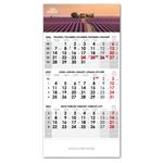 Trzymiesięczny kalendarz Trio czeski 2027 - szary